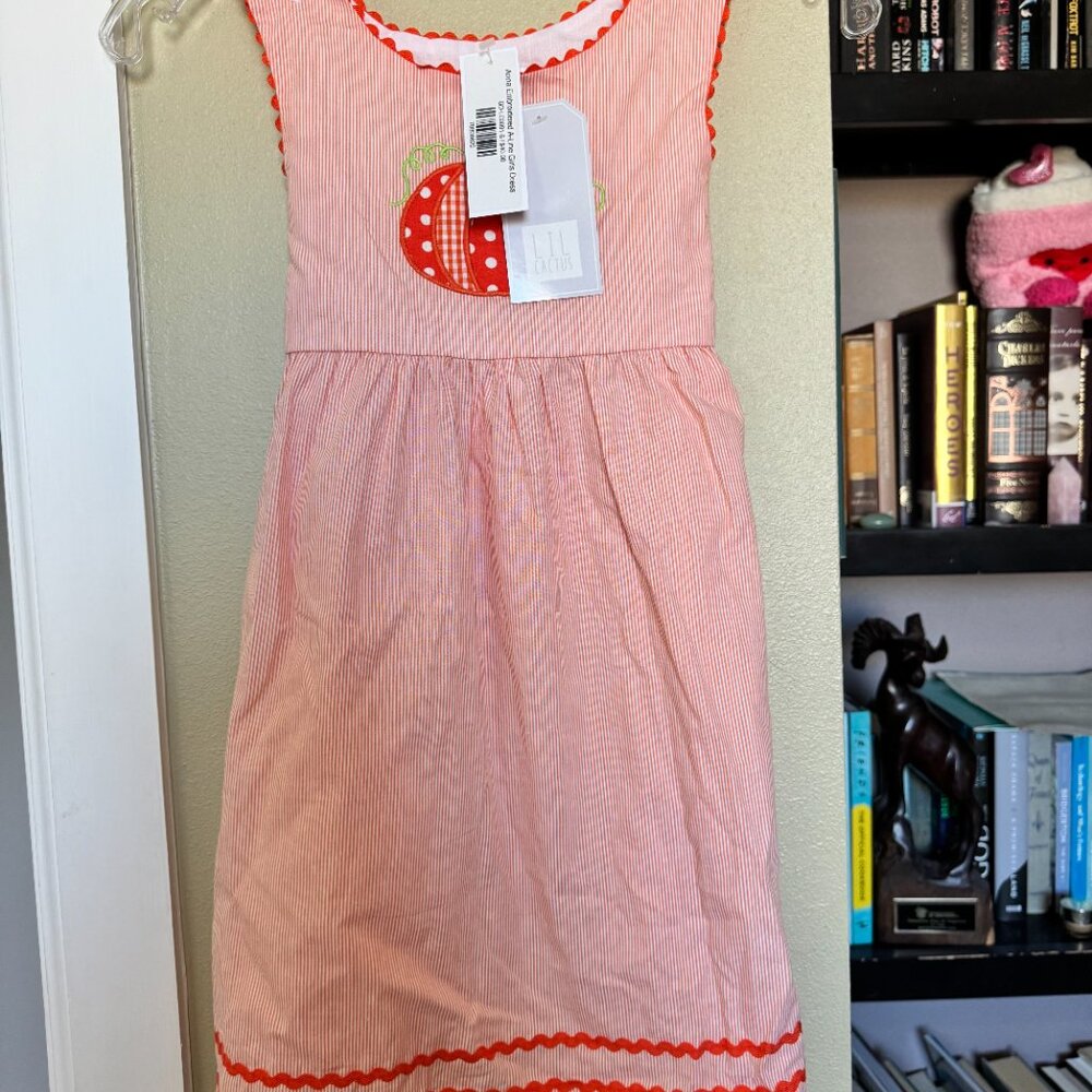 NWT Lil Cactus Orange Pinstripe Pumpkin Embroidered A-Line Dress